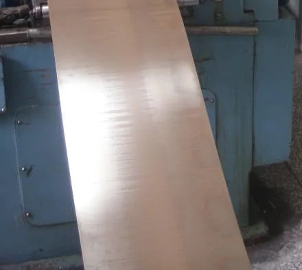 Rod/Strip/Wire Nikel Nikel dalam 100 (EMS55089)